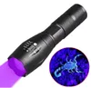 Lampes de poche UV Portable Purple Light Lampe de poche Détecteur de contrefaçon Lampe 395nm Led Torch Mini Ultraviolet Torches Lights Outdoor Camping Lantern Lamps