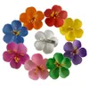 Hair Clips Barrettes 50pcs Fashion Foam Hawaiian Cherry blossoms bridal hair clips for girls accessorie 230112