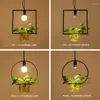 Pendant Lamps Modern Simple Black Painted Wrought Iron Square / Round Frame Chain Light With Clear Glass Cup (Green Plant Not Include)