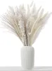 Torkade blommor 85 st party pampas dekoration set fluffy naturligt vardagsrum tall gräsbukett boho heminredning 230111