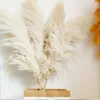 Dried Flowers 80cm Large Pampas Grass Bouquet Fluffy Floral Decoration Natural Plants DIY Craft Wedding Party Decorations 230111