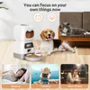 Alimentadores de tigelas de cachorro 3.5l PET Automático alimentador para gatos S Smart Food Dispenser Bowl Aço Bowl Timer Auto Cat Supplies 230111