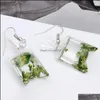 Charm Dried Flower Earrings Creative Plant Dry Clover Earring Fashion Pressed Glass Earin Drop Delivery Jewelry Dhduk