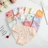 Panties 12pc çok kız iç çamaşırı çocuk brifing çocukları külot 2 12 yıl 230111