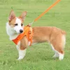 Dog Collars Leashes Traction Rope 360​​度反射デザイン爆発プルーフポリエステルペットチェストストラップ屋外用の供給用