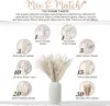 Fleurs séchées 85pcs / lot Pampas Décoration Ensemble Moelleux Naturel Salon Grand Herbe Bouquet Boho Décor À La Maison 230111