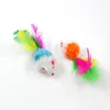 Kolorowe piórka myszo mysie zabawne zabawki z piór zabawne grę dla psa małe zwierzęta pióro kotka
