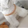 Hundkrage Pethalsband Justerbar katt och krage med diamant zirkonbenhänge smycken lyxiga avancerade förnödenheter