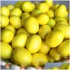 Articles de nouveauté Mini Jaune Artificiel Faux Citron Simation Fruits En Plastique Salon Cuisine Décoration De La Maison Table Décorative Ornamen Dhboz