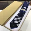 2024 Designer with BOX Men Necktie Design Mens Ties Fashion Neck Tie Stripes Pattern Embroidery S Designers Business Cravate Neckwear