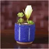 Vasi per fioriere Mini vaso di fiori in ceramica incrinato di ghiaccio Colorf Vaso di fiori carino per la decorazione del desktop Piante in vaso carnose 8 colori Drop D Dhrxe