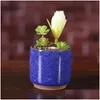 Jardinières Pots Ice Cracked Mini Pot De Fleur En Céramique Colorf Mignon Pot De Fleurs Pour La Décoration De Bureau Charnu Plantes En Pot 8 Couleurs Drop D Dhrxe