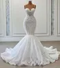 2023 Gorgeous Mermaid Wedding Dresses Bridal Gown Spaghetti Straps Lace Applique Beaded Sweep Train Custom Made Beach Country Plus Size vestido de novia