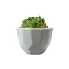 Planters Pots 100Pcs Simple White Fleshy Small Ceramic Polygon Stitching Wide Mouth Matte Flower Pot Sn1566 Drop Delivery Home Gar Dhchs