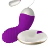 Articles de beauté Omysky USB Rechargeable 10 Vitesse Oeuf Vibrant Sans Fil À Distance Adulte Jouets Vibrateurs Étanche Masseur sexy Pour Les Femmes