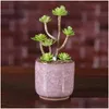 Jardinières Pots Ice Cracked Mini Pot De Fleur En Céramique Colorf Mignon Pot De Fleurs Pour La Décoration De Bureau Charnu Plantes En Pot 8 Couleurs Drop D Dhrxe