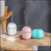 Andere huishoudelijke zonsverdragen Eierenvorm Watervoorziening Instrumenten Spray Traasonic Vinificatie Hine USB Oplaadbare T Diffuser Aromatherapy DHY25