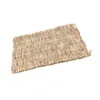 Carpets Hand Woven Natural Seagrass Mat Chew Bed For Hamsters Rabbits ParrotCarpets