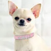 Katthalsar leder personlig krage valp små hundar anpassade för chihuahua Yorkshire gratis namn charms tillbehör 230113