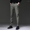 Pantalon pour hommes Automne Hommes Stripe Casual Élastique Business Coton Gris Noir Bleu Épais Droit Travail Classique Pantalon Long Pour Homme