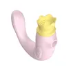 Articles de beauté Vibromasseur à succion rechargeable USB pour femmes Léchage de langue G Spot Stimulation du clitoris Stimulateur clitoridien Jouets sexy féminins