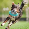 Dog Toys Chews Flying Saucer Game Discs Cat Chew Leaking Slow Food Feeder Ball Puppy IQ Training Toy Anti Choke Puzzle S 230113