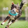 Hondenspeelgoed Chews Flying Saucer Game Discs Cat Chew Lekken Slow Food Feeder Ball Puppy IQ Training speelgoed Anti Choke Puzzle S 230113