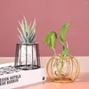 Vases Iron Line Flower Vase Metal Plant Holder Modern Home Decor Ornament Nordic Style Golden Black Glass Hydroponic Container