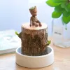 かわいいラッキーウッド植物の家の装飾ブラジルウッド水耕栽培水ポットツリースタンプミニ植物屋内オフィスホームデスク装飾7865529