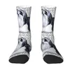 Chaussettes pour hommes drôle impression Shih Tzu amoureux des chiens pour hommes femmes Stretch été automne hiver animal de compagnie chiot équipage