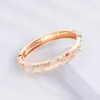 Bangle Fashion Jewelry Cloisonne Bracelet Hinge Openings Zinc Alloy Plant Enamel Bangles Girl Friend GiftBangle