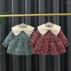 Mädchenkleider Geboren Frühlingsbabykleid Langarm-Blumenmuster Rundhalsausschnitt für Babys Erster Geburtstag OberbekleidungssetMIMITZ