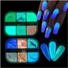 Nail Glitter 6 Grids Art INS Luminous Luminous Pearl Shell Powder Aurora Mirror Frost Sugar Laser Irregar Patch Symphony Drop DC