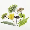 Fleurs décoratives variété Branches artificielles fausse plante de verdure feuille en plastique pour Scrapbooking décoration de mariage à la maison couronnes de Noël