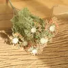 装飾的な花chrysanthemumプラスチック人工花のための人工花