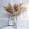Декоративные цветы настоящие сушеные пампас трава свадебная цветочная пучка натуральные растения домашние декор фрагмиты декоративные рождество