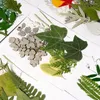 Dekorativa blommor 1set diverse pressad torkad blomma blad herbarium för epoxi hartsmycken gör bokmärke ansikte makeup nagelkonst hantverk