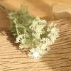 装飾的な花chrysanthemumプラスチック人工花のための人工花