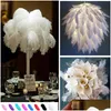 Party Decoration 1820 Inch4550cm White Ostrich Feather Plumes For Wedding Centerpiece Event Decor Festlig Drop Delivery Home Garden S DHHWO