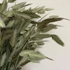 Dekorative Blumen ca. 20 Stück/30–45 cm lang, natürlicher getrockneter Blumenstrauß, Diamantgras, DIY, trocken, Xiaopan für Heimdekoration, Hochzeit