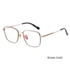 Zonnebrillen Frames Big Optical Frame Men Ultralight Pure Titanium -bril Goud Zilver Zwart Gray Metal Eyewear Man 2023