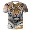 Men's T Shirts 2023 Fashion Rich Tiger 3D Color Printing Oversized T-shirt Summer Short-Sleeved Casual Sports Top