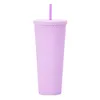 ABD yerel depo 24oz çivili akrilik tumbler çift duvarlı plastik bardak diy içme içecek tumbler 6 renk karışık 24pcs/kasa