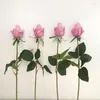 Fleurs décoratives 10 pièces/lot, Simulation d'une branche unique, Rose en soie, bourgeon au toucher réel, cadeau de saint-valentin, décoration de maison de luxe pour mariage