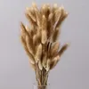 Decorative Flowers Natural Dried Flower 60 Head Tail Grass Bouquet Home Decoration Accessories Party Wedding Arrangement