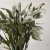 Dekorative Blumen ca. 20 Stück/30–45 cm lang, natürlicher getrockneter Blumenstrauß, Diamantgras, DIY, trocken, Xiaopan für Heimdekoration, Hochzeit