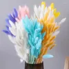 Decorative Flowers Natural Dried Flower 60 Head Tail Grass Bouquet Home Decoration Accessories Party Wedding Arrangement