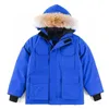 Winter Kids Down Coat Jacket Boy Girl Baby Outerwear Warm Greatcoat Jackets Sportswear Outdoor Classic Colors 100-150 Designer