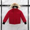 Down Coat Designer Down Płaszcz Kurtka zimowa chłopiec dziewczyna kurtki odzieżowe z odznaką grubą ciepłą warstwa zniszczającą dzieci parkas moda klasa