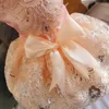 ملابس ألعاب الكلاب الأزياء الأليف الأميرة تنورة زهرة زخرفة قاطرة الحفلات فستان مهرجان ملحقات أزياء Cat Cat